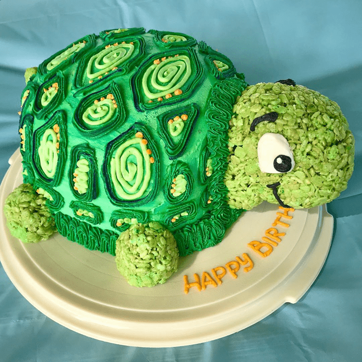 Pretty Turtle Cake