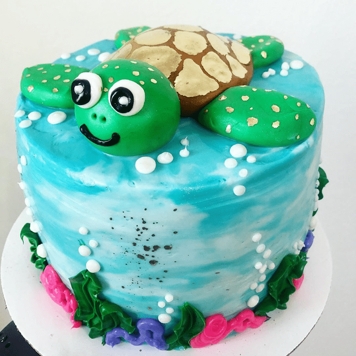 Refined Turtle Cake