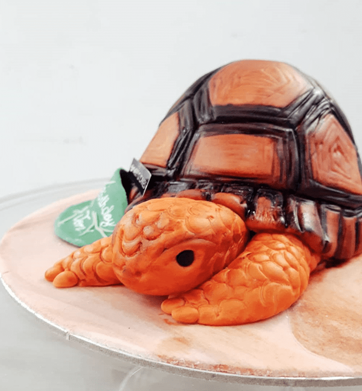 Resplendent Turtle Cake