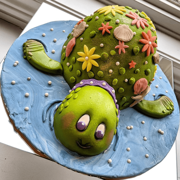 Wonderful Turtle Cake Design