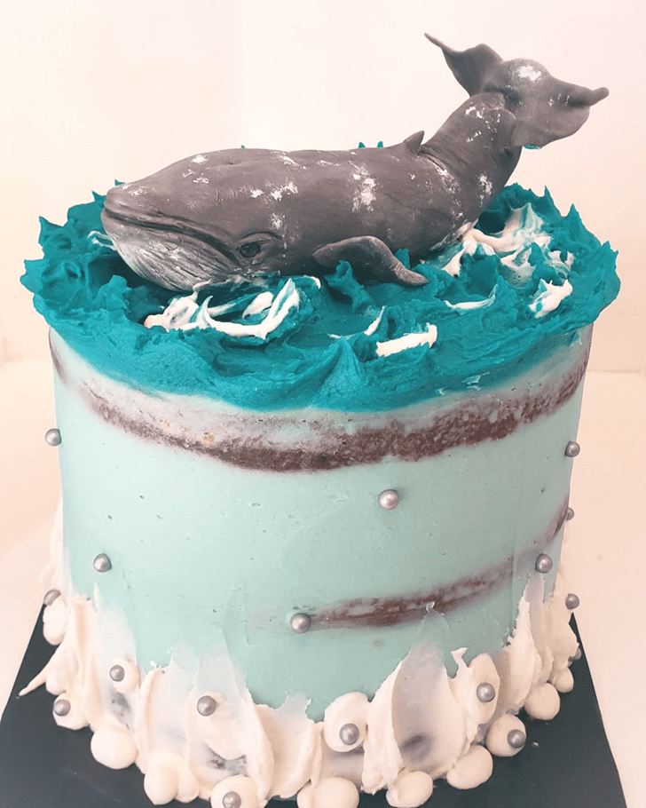 Comely Whale Cake