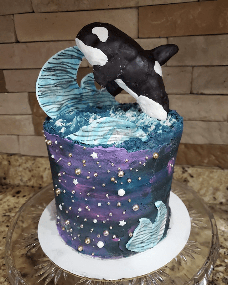 Good Looking Whale Cake
