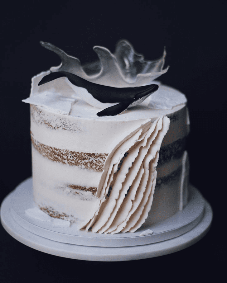 Shapely Whale Cake