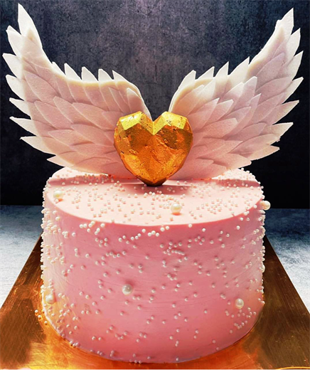 Admirable Wing Cake Design