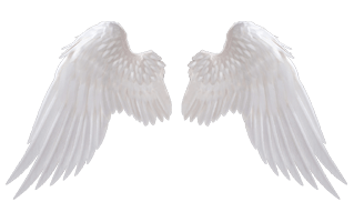 Wing Cake Design