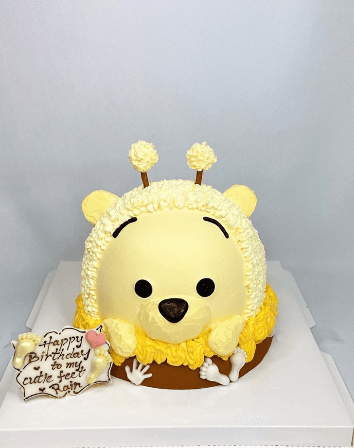 Magnetic Winnie the Pooh Cake