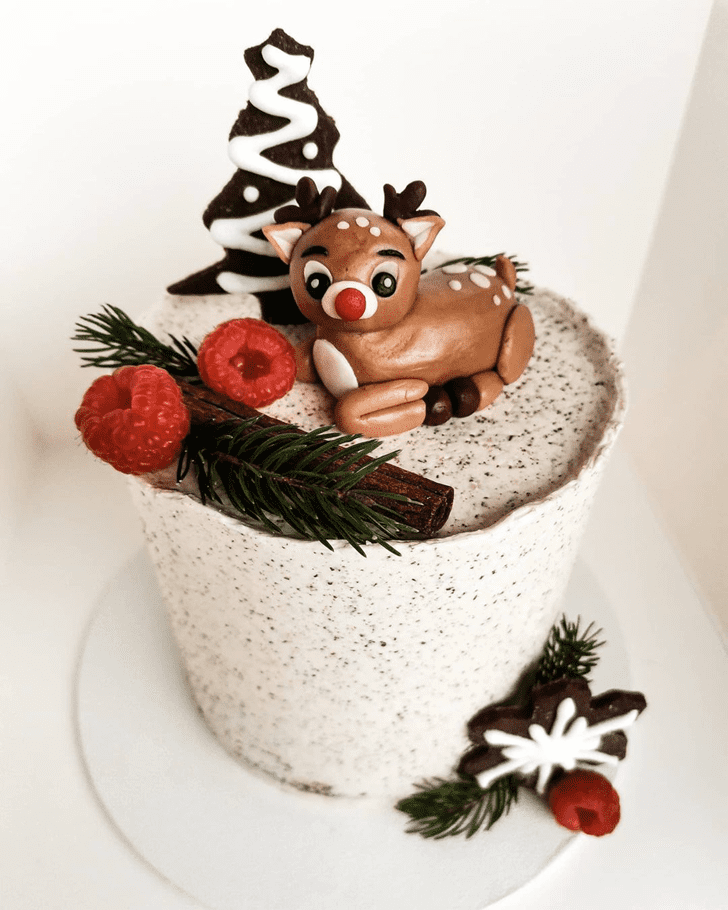 Delicate Winter Cake