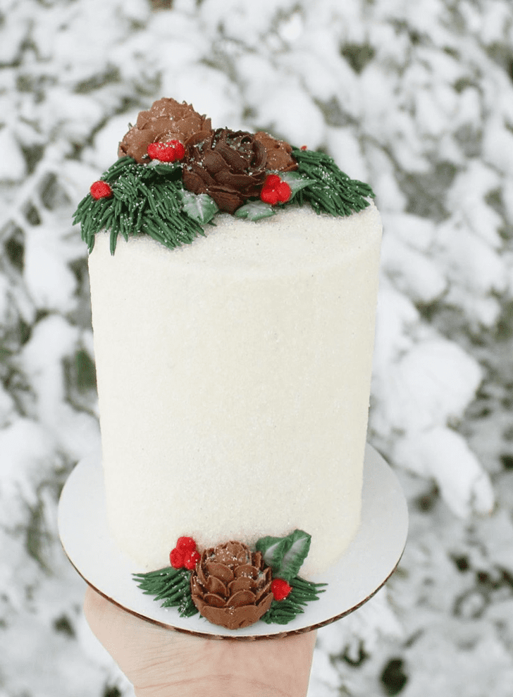 Delightful Winter Cake