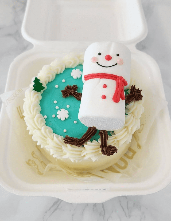 Excellent Winter Cake