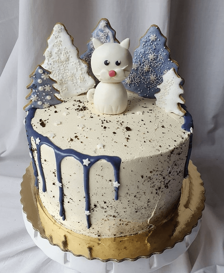 Handsome Winter Cake