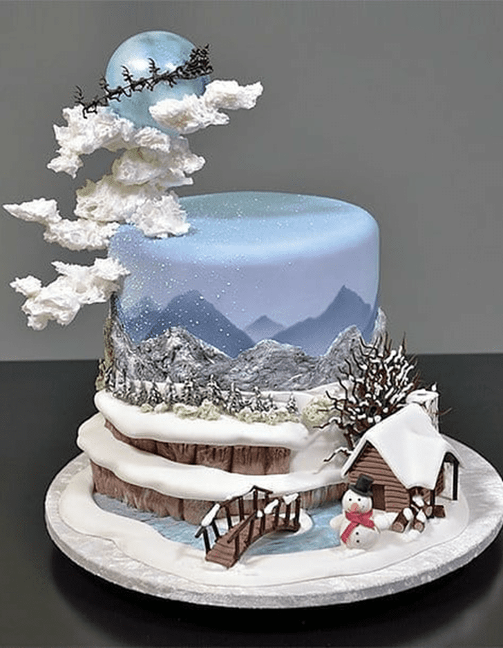 Resplendent Winter Cake