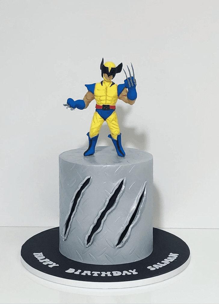 Splendid Wolverine Cake