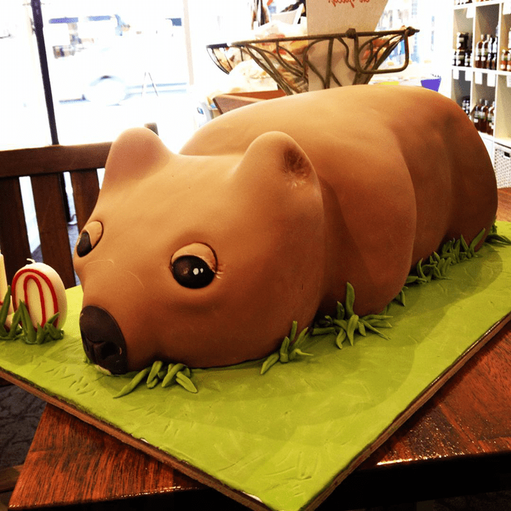 Adorable Wombat Cake