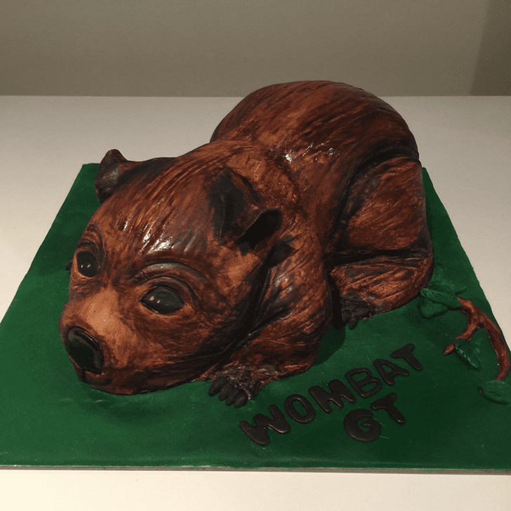 Appealing Wombat Cake
