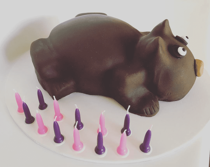Beauteous Wombat Cake