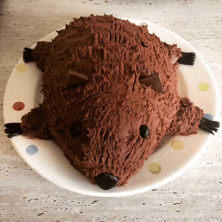 Captivating Wombat Cake