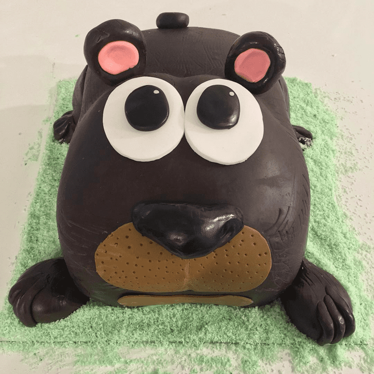 Charming Wombat Cake