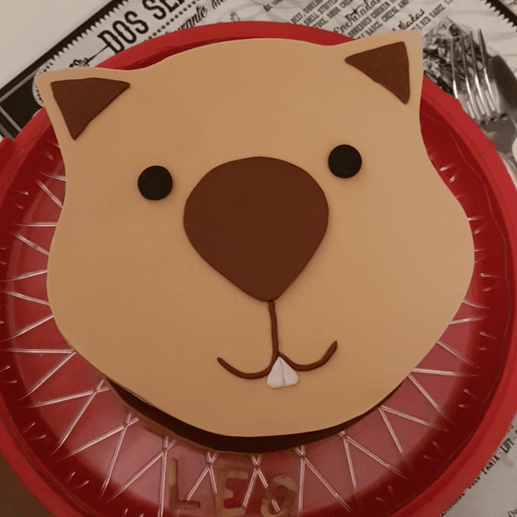 Comely Wombat Cake