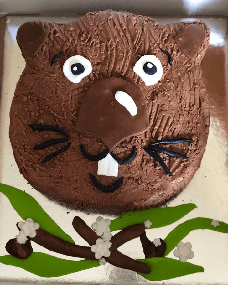 Cute Wombat Cake