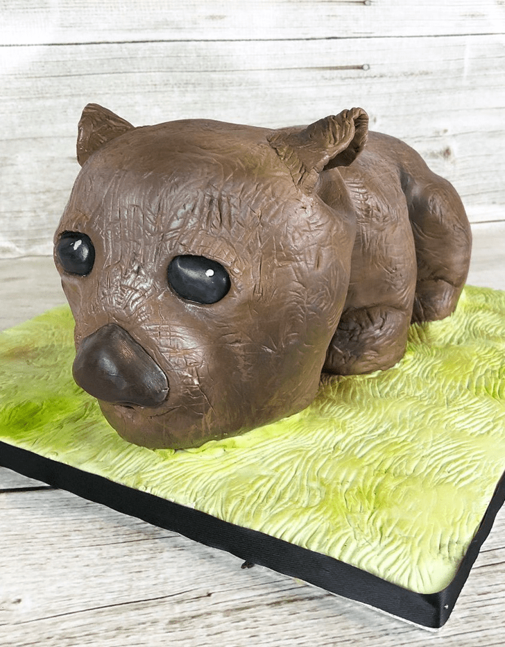 Dazzling Wombat Cake