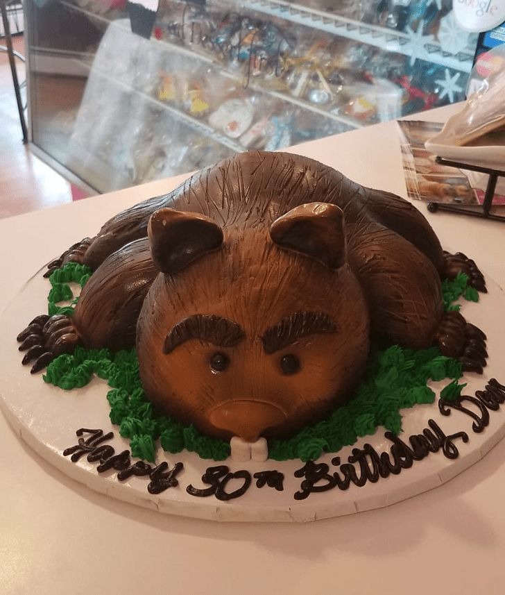 Delicate Wombat Cake