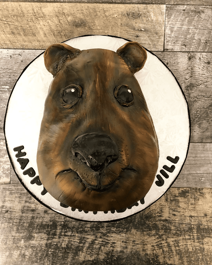 Enthralling Wombat Cake