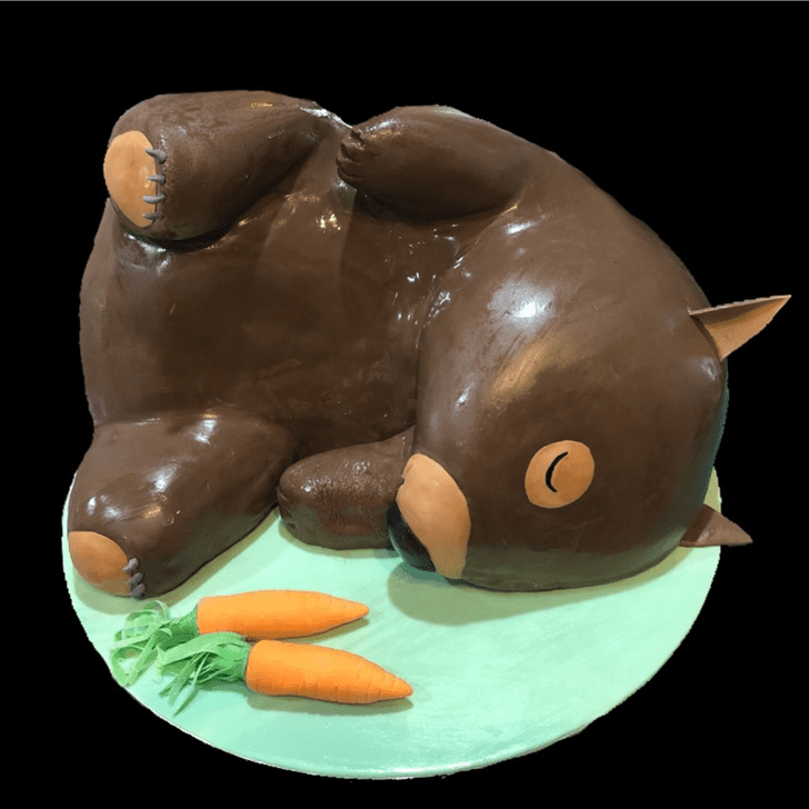 Enticing Wombat Cake