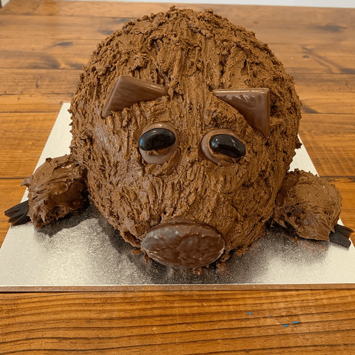 Excellent Wombat Cake