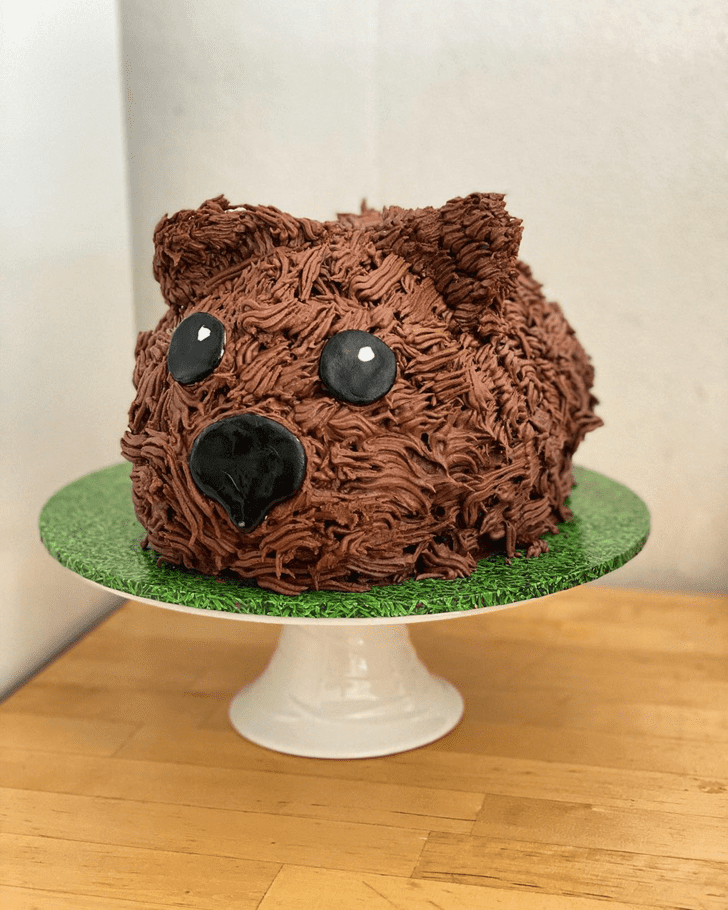 Fair Wombat Cake