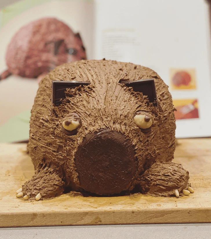Fascinating Wombat Cake