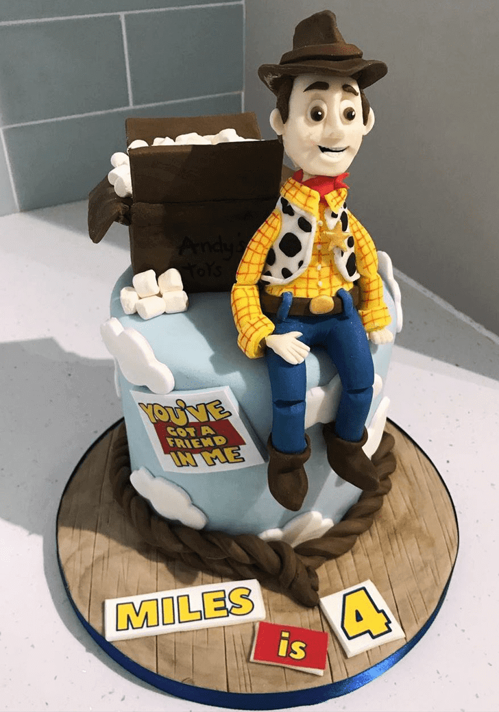 Comely Woody Cake
