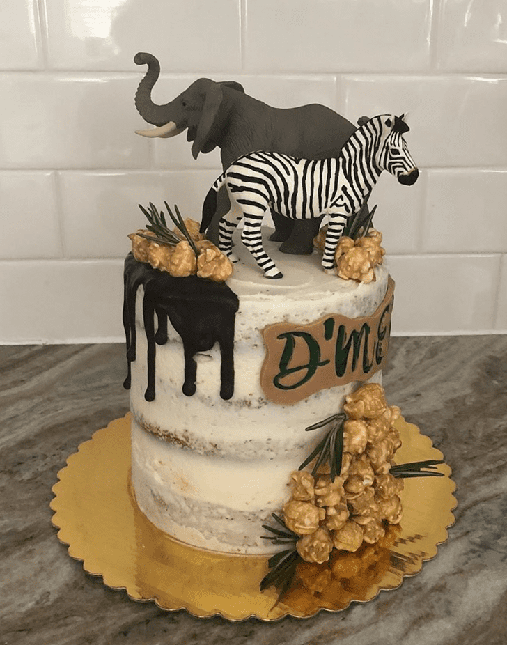 Lovely Zebra Cake Design